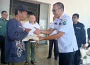 Dukung Penuh Bambang Soekwanto ke Pilkada 2024, Begini Kata Pemilik CV. Trisno Adi