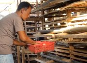 Kisah Polisi di Lumajang Sukses Bisnis Budidaya Burung Puyuh