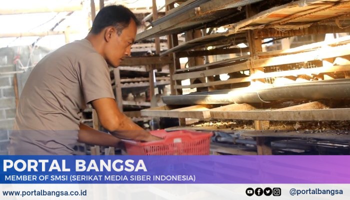 Kisah Polisi di Lumajang Sukses Bisnis Budidaya Burung Puyuh