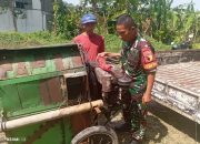 Babinsa Kodim 0822 Bondowoso Bantu Petani Panen Padi