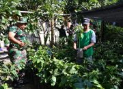 Anggota Koramil Wringin Bersama Warga Kampung Pancasila Lakukan Perawatan Tanaman (TOGA)