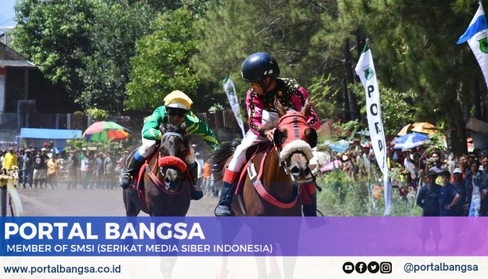 Rebut Piala Bupati Cup 2024 Dalam Pacuan Kuda, Puluhan Atlet Berlaga