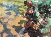 Babinsa Kodim 0822/14 Tindak Lanjuti Program Han Pangan dengan Pendampingan Pompanisasi di Lahan Padi