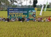 Peran Penting Perguruan Tinggi Dalam Pertanian, Begini Kata Wamen Dikti Saintek