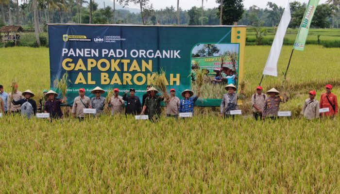 Peran Penting Perguruan Tinggi Dalam Pertanian, Begini Kata Wamen Dikti Saintek