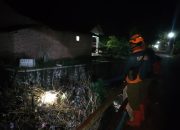 Akibat Hujan Deras, Puluhan Hektare Lahan Pertanian di Dua Desa Terendam Banjir