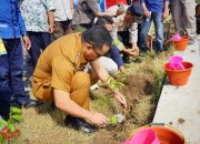 Kota Probolinggo Sentra Gaharu Dunia, Walikota Luncurkan Kampung Gaharu