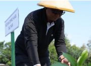 DPRD Kabupaten Blitar dan TNI Perkuat Kolaborasi Lingkungan dan Ketahanan Pangan Lewat Gerakan Hijau