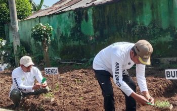 Dinas Pertanian Bondowoso