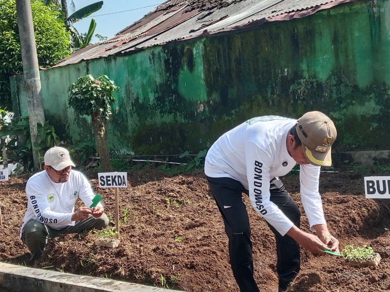 Dinas Pertanian Bondowoso