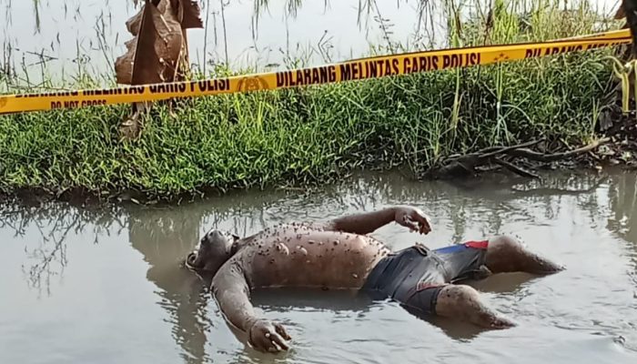 Penemuan Jenazah di Persawahan Jombang Gegerkan Warga, Polisi: Tidak Ada Tanda Kekerasan