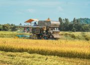 Perontok Mesin Panen Padi Kubota
