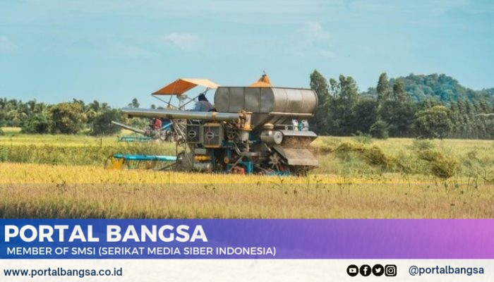 Meningkatkan Keuntungan Petani, Ini Keunggulan Sistem Perontok Mesin Panen Padi Kubota dari Bina Pertiwi