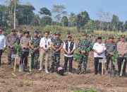 SMSI Bondowoso Apresiasi Gerakan Penghijauan Kodim 0822 Sambut HUT TNI ke-81