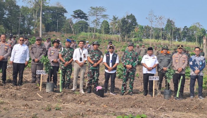 SMSI Bondowoso Apresiasi Gerakan Penghijauan Kodim 0822 Sambut HUT TNI ke-81